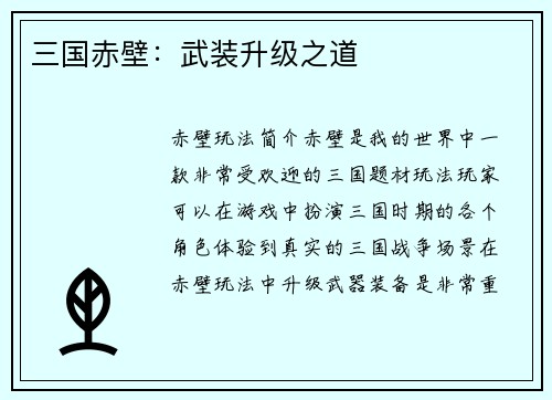 三国赤壁：武装升级之道